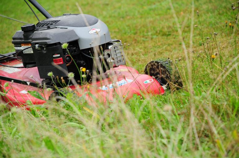 Comment bien gérer ses déchets verts ?