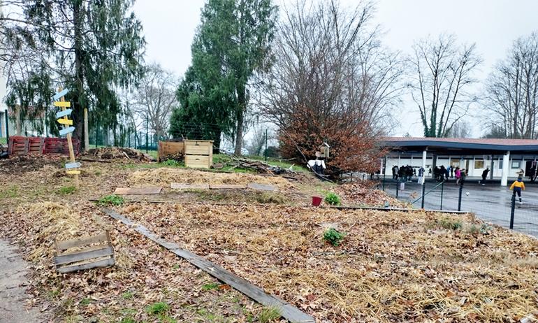 L ecole de Saint Medard passe au vert articleimage