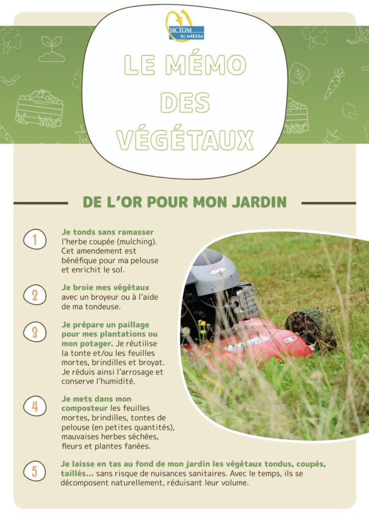 Le mémo des végétaux