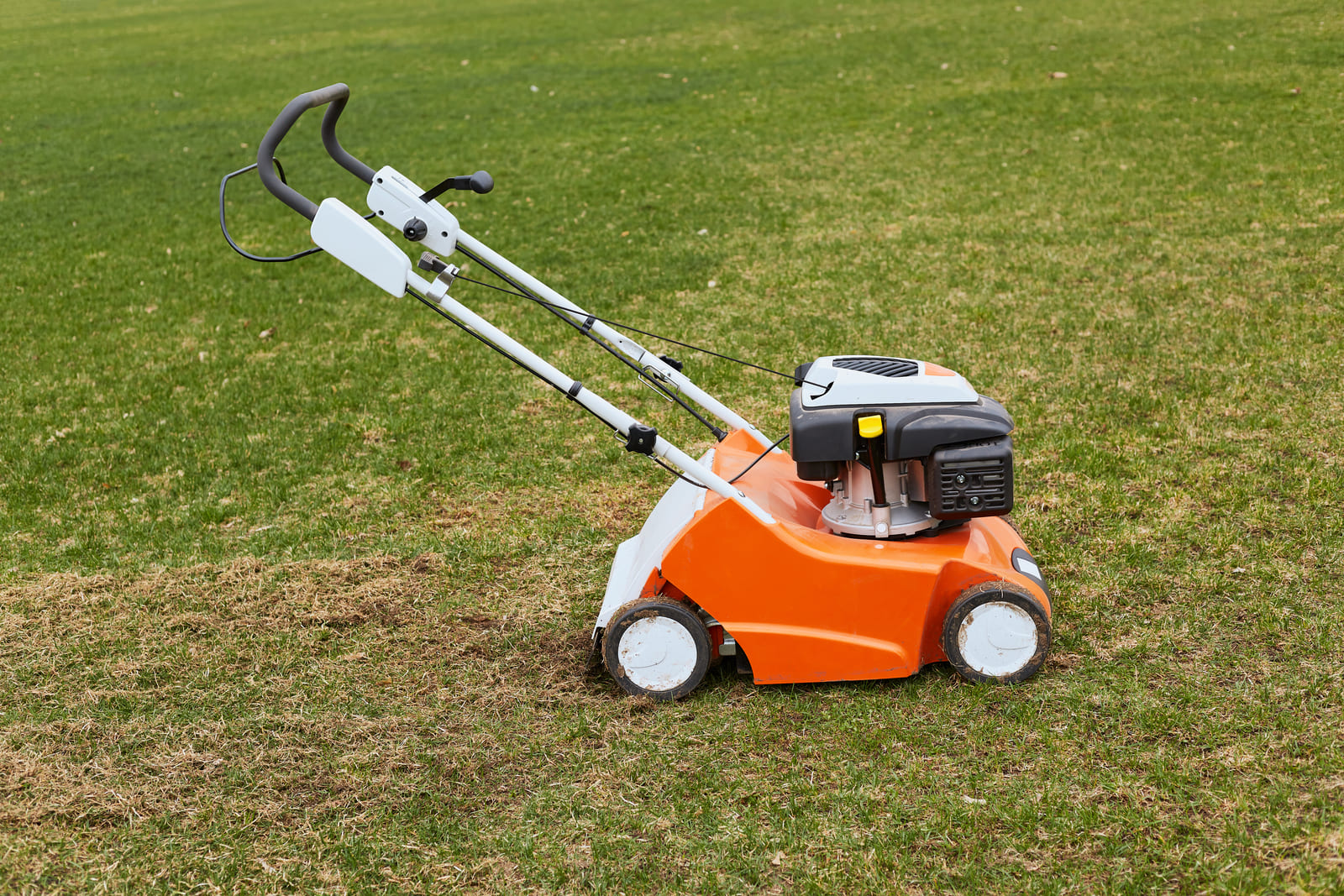 Particulier je veux reduire mes dechets tonte mulching 1