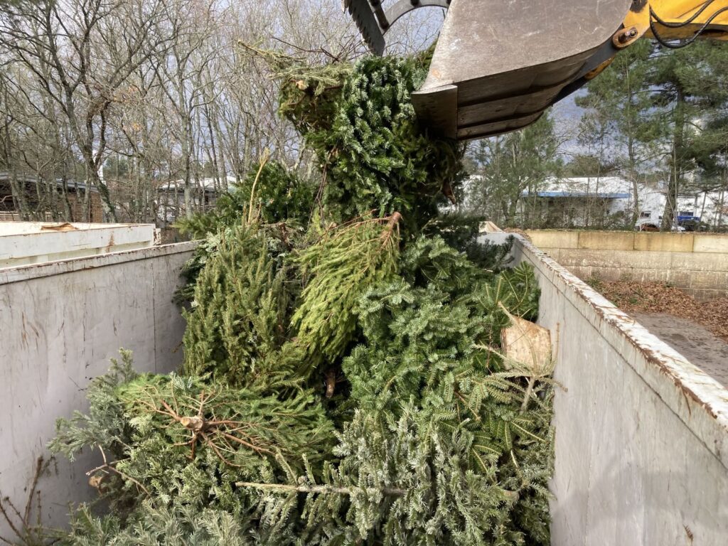 Particulier reemploi reparation reutilisation collecte sapins 3