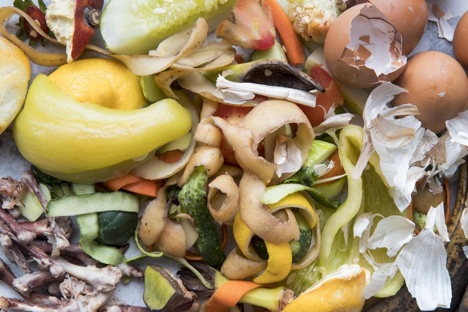 Tout savoir compostage dechets organiques