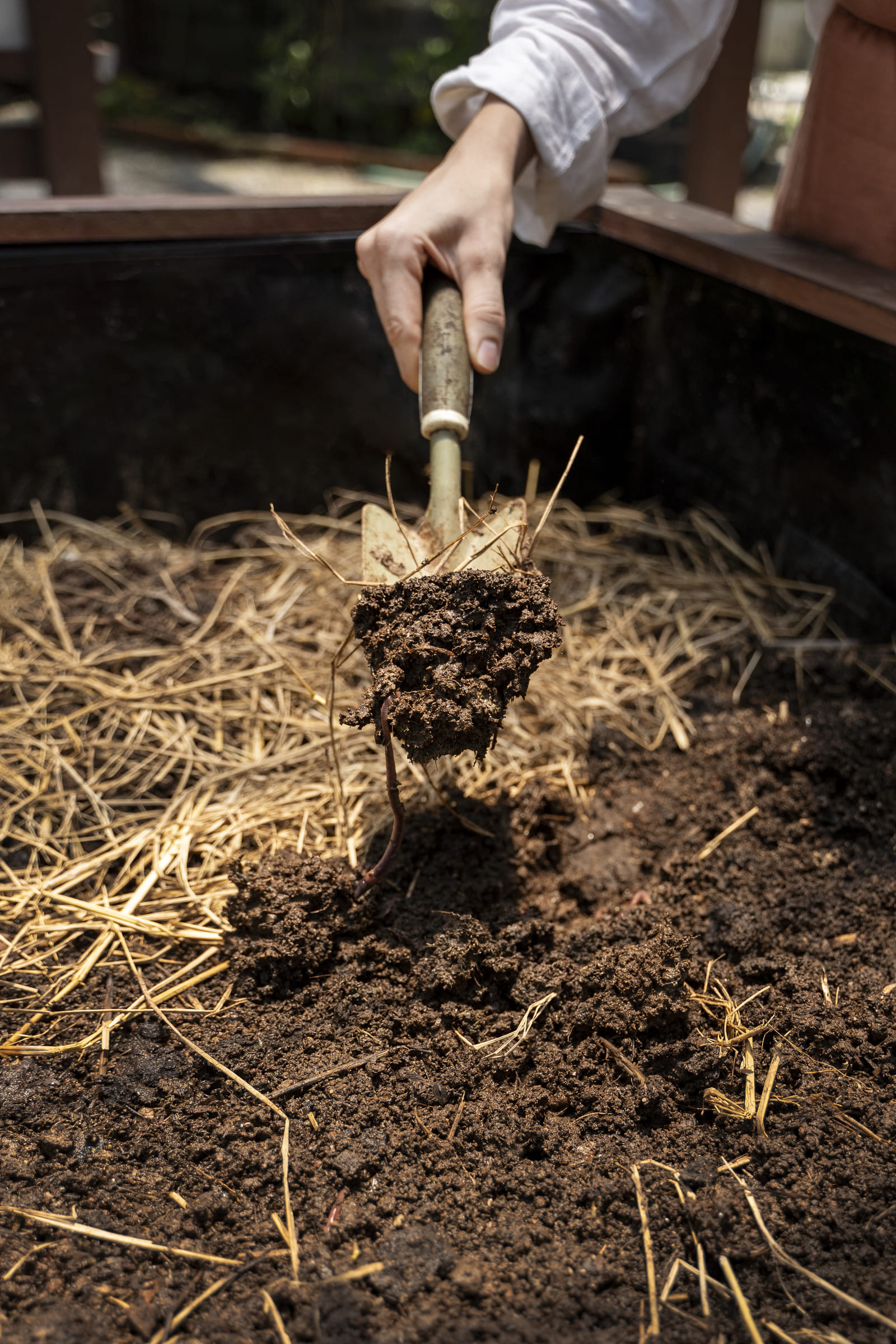 Tout savoir compostage vegetaux jardin